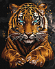 Картина по номерам Дикий тигр (40х50 см)