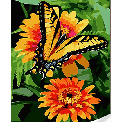 Картина за номерами Метелик на цинії (30х40 см), бренду Strateg - KUBIX