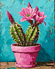 Картина по номерам Рожевий кактус (40х50 см)
