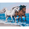 Картина по номерам Две лошади на берегу моря (40х50 см)