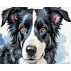 Картина за номерами Собачий портрет (40х50 см)