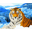 Миниатюра товара Картина по номерам Тигр в заснеженных горах (40х50 см) - 1