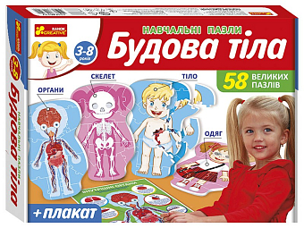 Пазл Строение тела