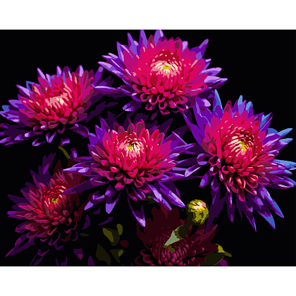Картина за номерами Айстри (40х50 см), бренду Strateg - KUBIX