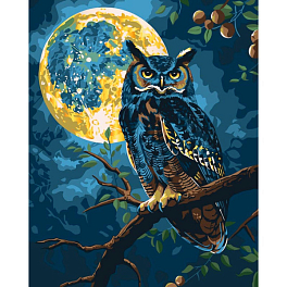 Картина по номерам Хранитель звездного света (40x50 см)