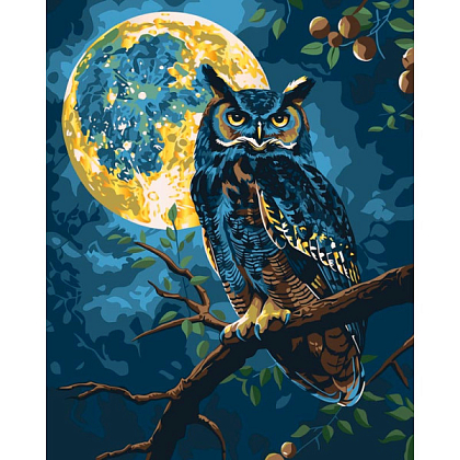 Картина по номерам Хранитель звездного света (40x50 см), бренду Art Craft - KUBIX