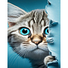 Алмазна мозаїка Котик з блакитними оченятами (40х50 см)