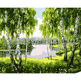 Картина по номерам Березовый рай (30х40 см)