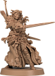 Мініатюра товару Настільна гра Зомбіцид. Біла смерть (Zombicide: White Death) - 9