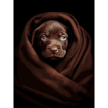 Картина за номерами Песик у пліді (30х40 см), бренду Strateg - KUBIX