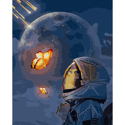 Картина по номерам Космическая жизнь (40х50 см), бренду Strateg - KUBIX