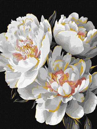 Картина по номерам Белые бутоны (30х40 см), бренду Идейка - KUBIX