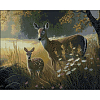 Алмазная мозаика Олени (40х50 см) Алмазная мозаика Олени (40х50 см)