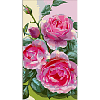 Миниатюра товара Картина по номерам Розы (50х25 см) - 1