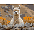 Мініатюра товару Картина за номерами Альпака на камені (30х40 см) - 1