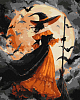 Картина по номерам Ведьма с метлой (40х50 см)