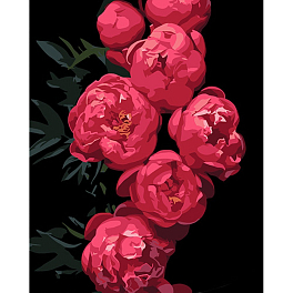 Картина по номерам Розовые пионы (40х50 см)