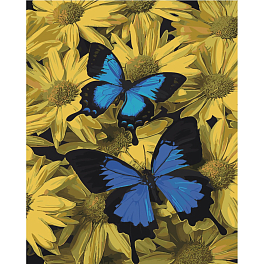 Картина за номерами Пара метеликів (40х50 см) 