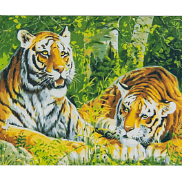 Картина по номерам Два тигра (40х50 см)