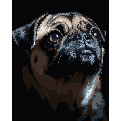 Картина по номерам Портрет мопса (40х50 см), бренду Strateg - KUBIX