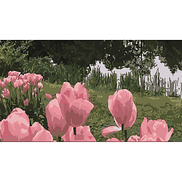 Картина по номерам Роскошное поле тюльпанов (50х25 см)