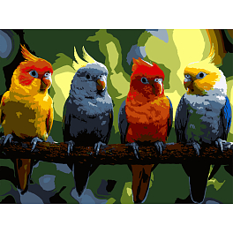 Картина за номерами Яскраві папуги (30х40 см)