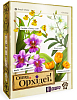 Настольная игра ОВВА. Орхидеи! (Oh My. Orchids!)