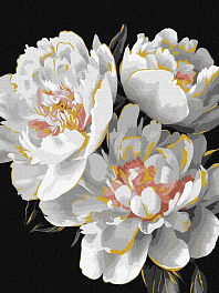 Картина по номерам Білі бутони (30х40 см)