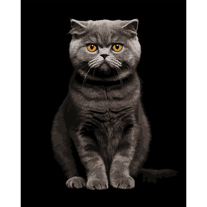 Картина за номерами Сірий аристократ (40х50 см), бренду Strateg - KUBIX