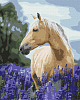 Картина по номерам Кінь в лавандовому полі (40х50 см)