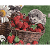 Картина по номерам Ёжик с клубникой (40х50 см)