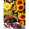 Картина по номерам Подсолнуховое лето (30х40 см)