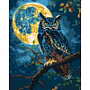 Картина за номерами Хранитель зоряного світла (40x50 см)
