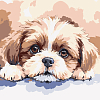Картина за номерами Миле цуценя (20х20 см)