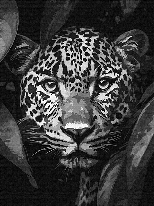 Картина по номерам Леопард на полюванні (30х40 см), бренду Ідейка - KUBIX
