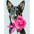 Мініатюра товару Картина за номерами Пес з півонією (30х40 см) - 1