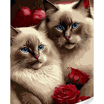 Картина за номерами Котики в трояндах (40х50), бренду Strateg - KUBIX