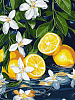 Картина по номерам Лимон у розрізі (30х40 см)