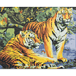 Миниатюра товара Картина по номерам Пара тигров (40х50 см) - 1