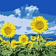 Миниатюра товара Картина по номерам Подсолнухи под небом (20х20 см) - 1