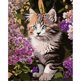 Картина по номерам Мурчик (30х40 см)