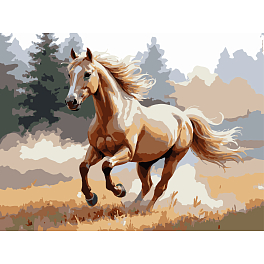 Картина по номерам Конь в поле (30х40 см)
