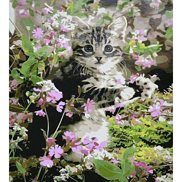 Картина за номерами Кошеня в квіточках (30х40 см)