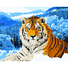 Картина по номерам Тигр в заснеженных горах (40х50 см)