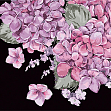 Мініатюра товару Картина за номерами Цвітіння гортензій (40х40 см) - 1