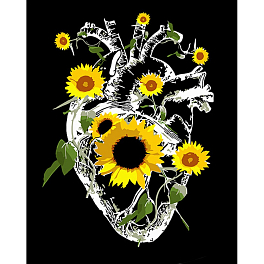 Картина по номерам Сердце среди подсолнухов (40х50 см)