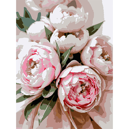 Картина за номерами Ніжно-рожеві квіти (30х40 см), бренду Strateg - KUBIX