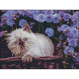 Алмазна мозаїка Кошеня (30х40 см)