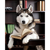 Алмазная мозаика Хаски с книгой (30х40 см)