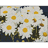 Алмазна мозаїка Ромашкове поле (30х40 см)